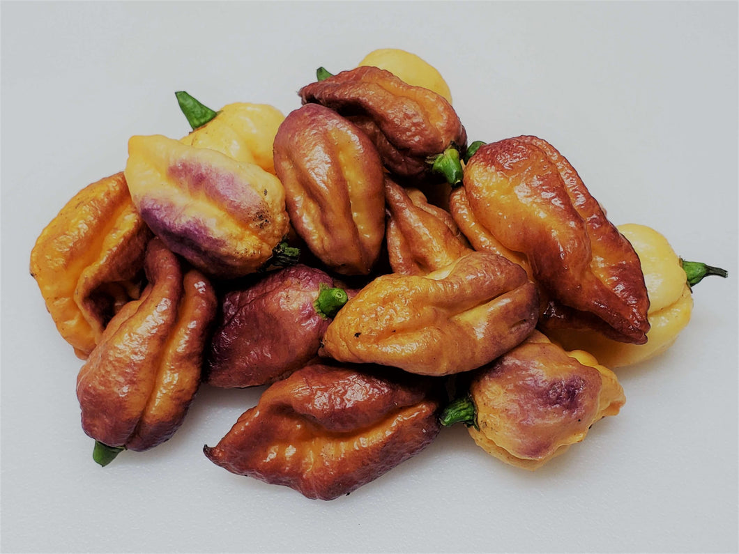 Piment Pockmark Peach