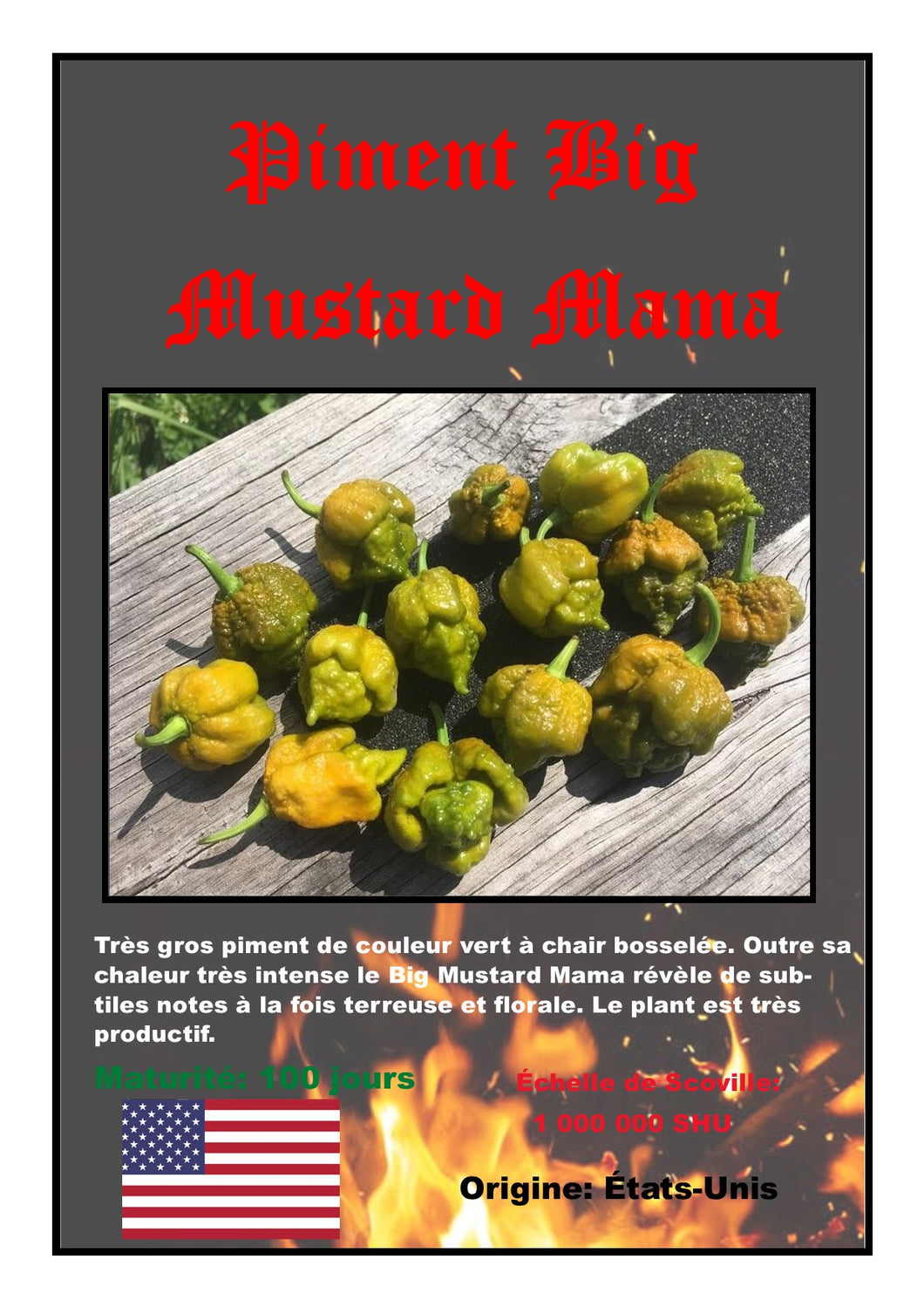 Piment Big Mustard Mama déshydraté