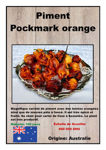 Piment Pockmark Orange déshydraté